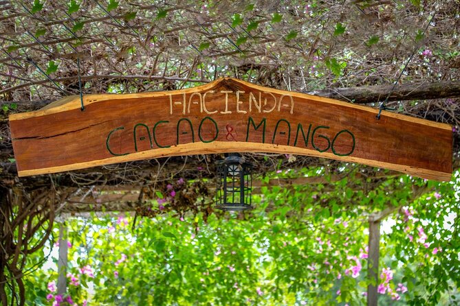 Cocoa and Gastronomy Tour at Hacienda CacaoyMango - Tour Highlights