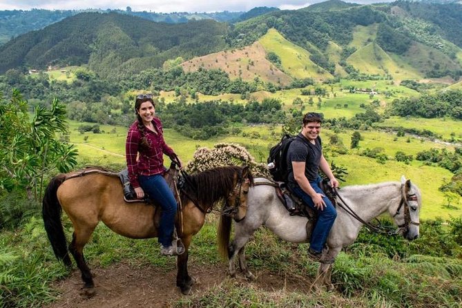 Cocora, Salento and Filandia Tour - Meeting and Pickup Details