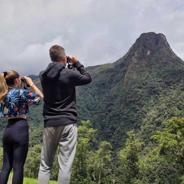 Cocora Valley: Birding-Hiking With Breakfast & Lunch - What to Expect During the Tour