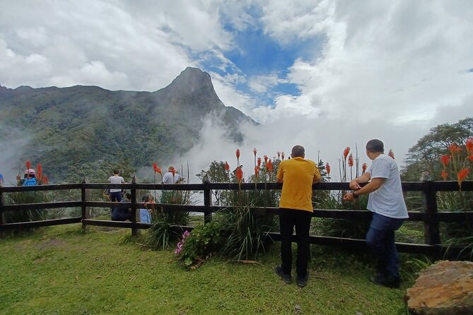 Cocora Valley Tour Hummingbird Circuit - Itinerary Highlights