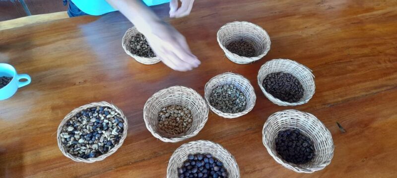 Coffee Experience: Daily Departure From Salento - Detailed Itinerary
