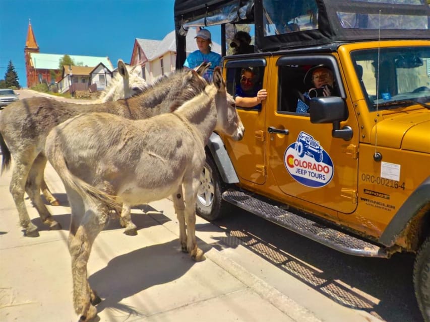 Colorado Jeep Tours - Gold Belt Tour - Pricing and Reservation Details