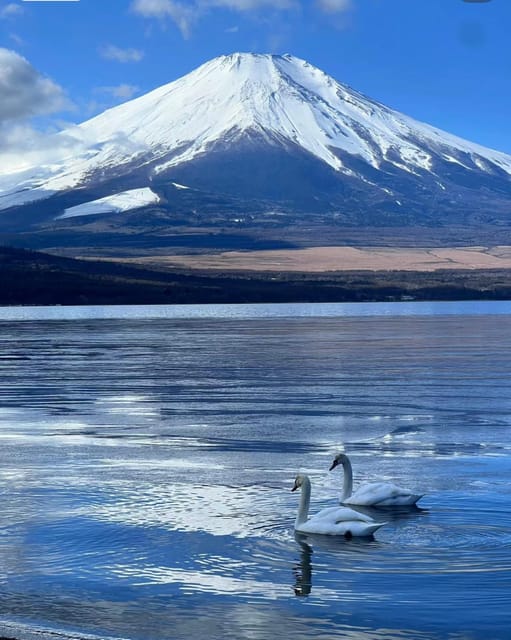 Comfortable Tour in Mount Fuji - Transportation Options Available