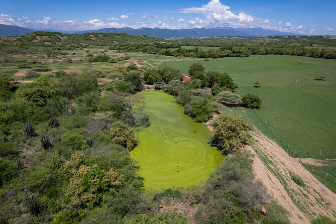 Community and Biodiversity Tour of the Tatacoa Desert From Neiva - Astronomical Experience