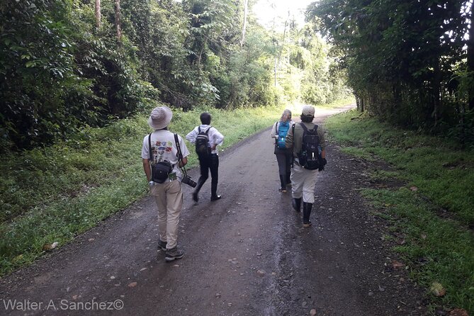 Corcovado Los Planes Birding Tour - Meeting and Pickup Information