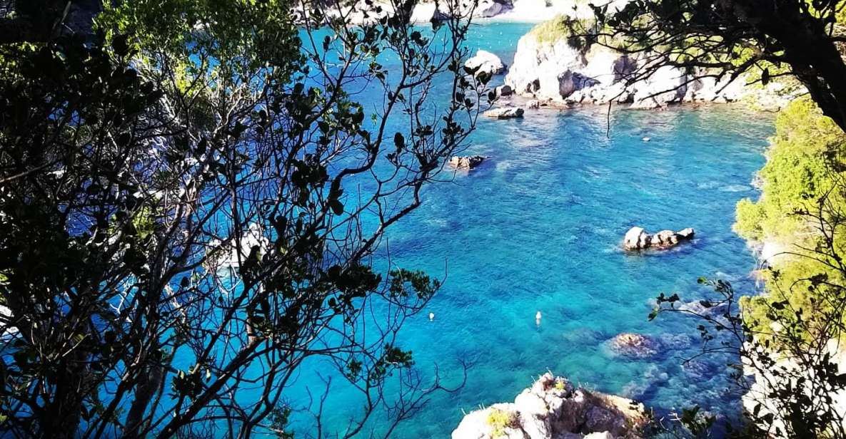 Corfu: Hiking in Olive Groves,Village,Sunset,with Swim Stop - Itinerary Highlights