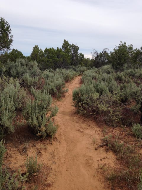 Cortez: Hawkins Nature Preserve Guided Walking Tour - Exploring Hawkins Preserve