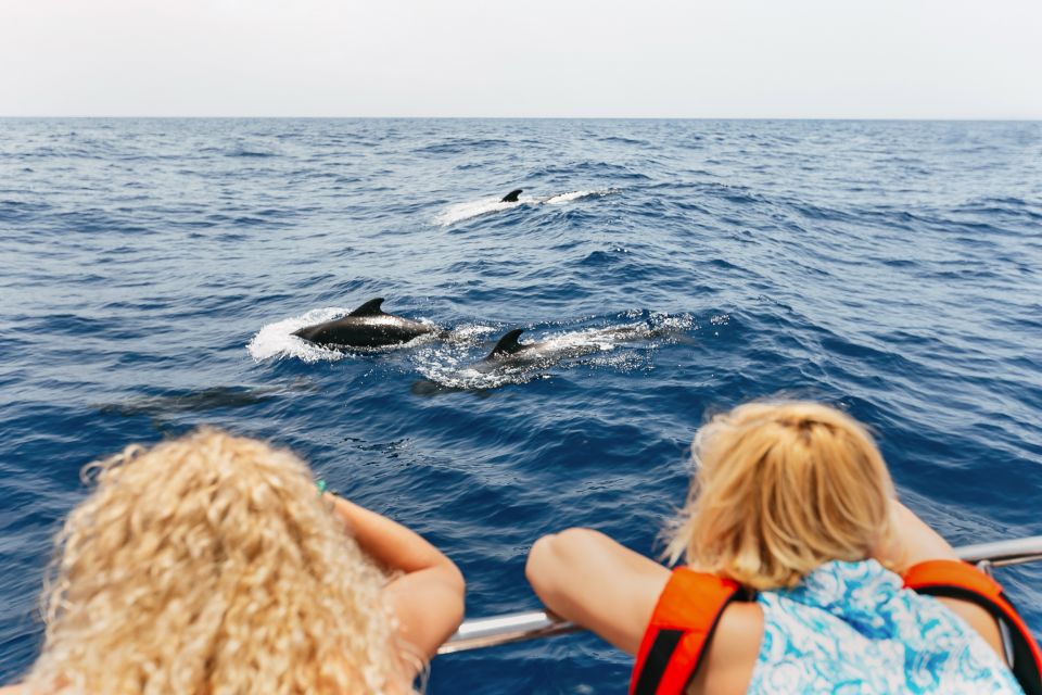 Costa Adeje: Whale Watching Catamaran Tour With Drinks - Experience Highlights