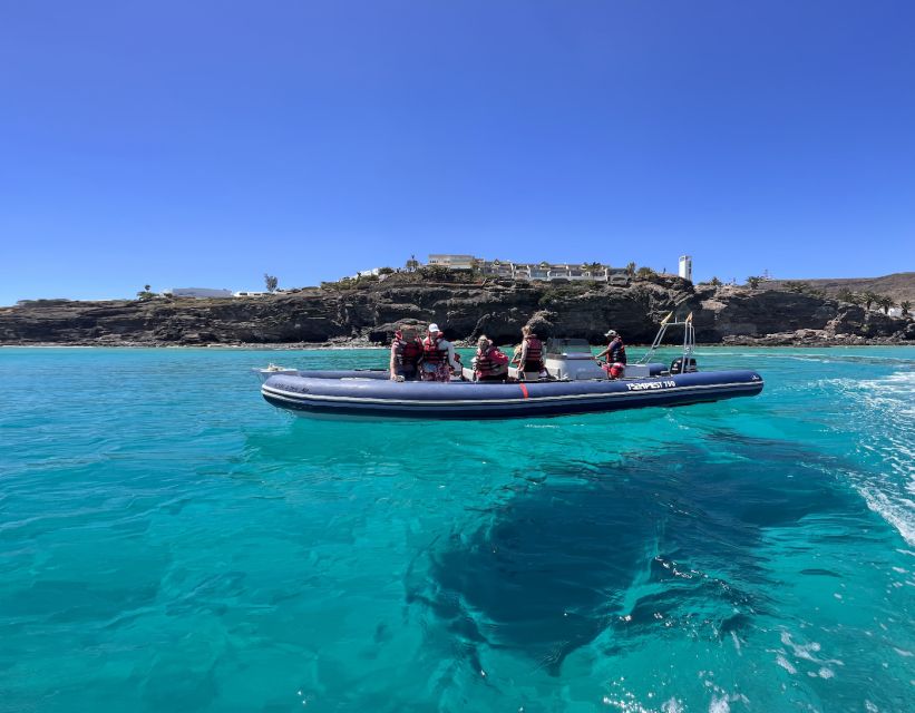 Costa Calma: Fuerteventura Dolphin Watching Zodiac Boat Tour - Pickup and Experience Details