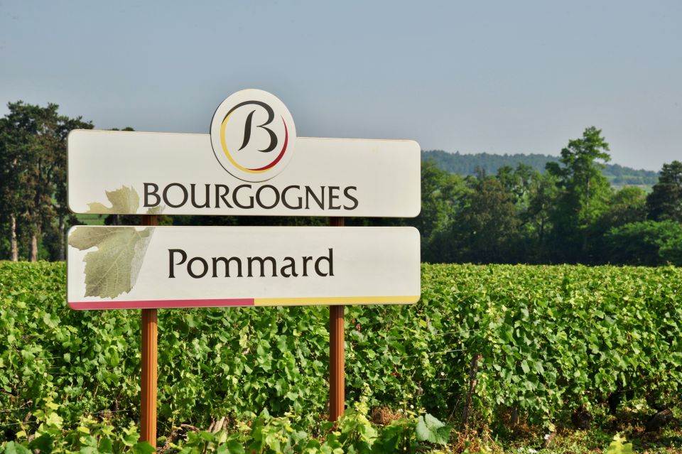 Côte De Beaune Private Local Wineries and Wine Tasting Tour - Experience Highlights