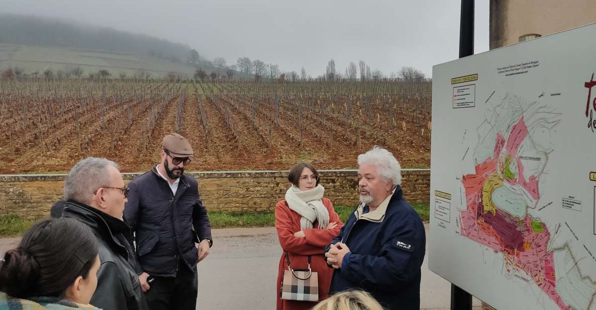 Côte De Nuits Private Local Wineries and Wine Tasting Tour - Itinerary Highlights