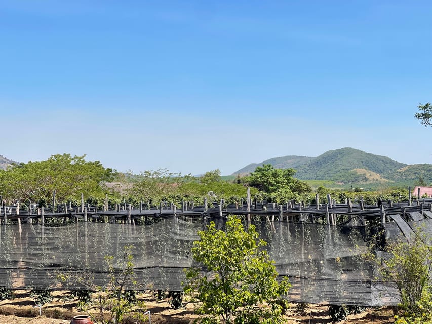 Country Side Tours( E.G.Salt Fields; Cave ;Pepper Farm; Lake - Salt Fields Experience