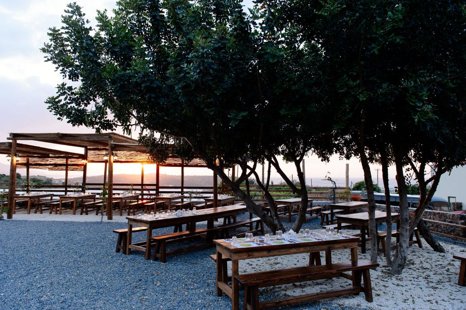 Cretan Farm With Scenic View: Olive Mill Festival & Dinner - Experience Highlights