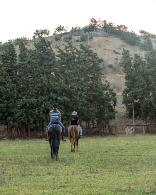 Crete Horse Riding: Cretan Countryside Ride - Experience Highlights