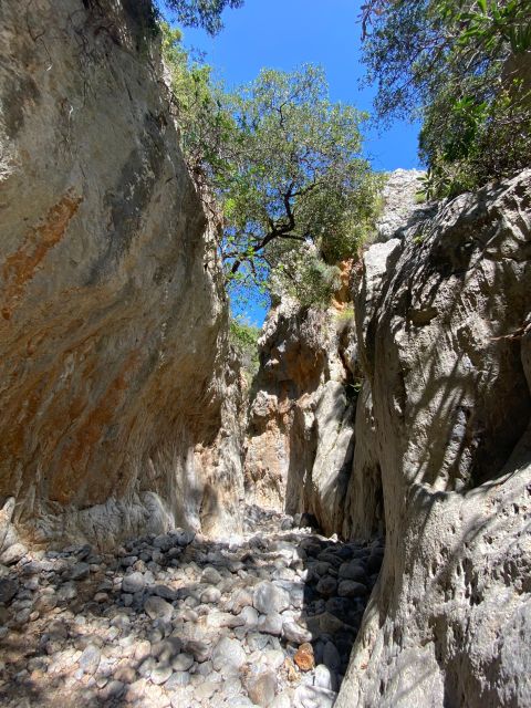 Crete: Kritsa Canyon Guided Hiking Tour - Itinerary Highlights