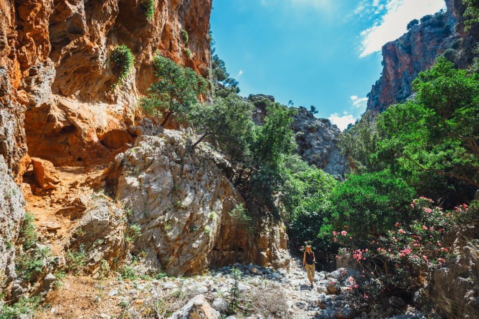 Crete: Kritsa Gorge Hike With Picnic & Swim Stop - Experience Highlights