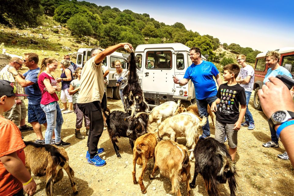 Crete: Land Rover Safari on Minoan Route - Itinerary Highlights