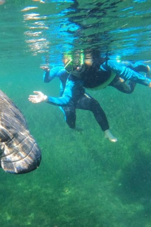 Crystal River: Kayak and Swim With Manatees Tour - Booking Information