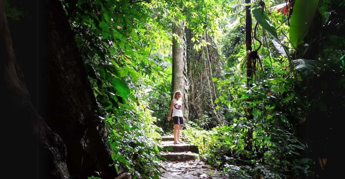 Cuc Phuong National Park Group Day Tour In Ninh Binh - Itinerary Highlights