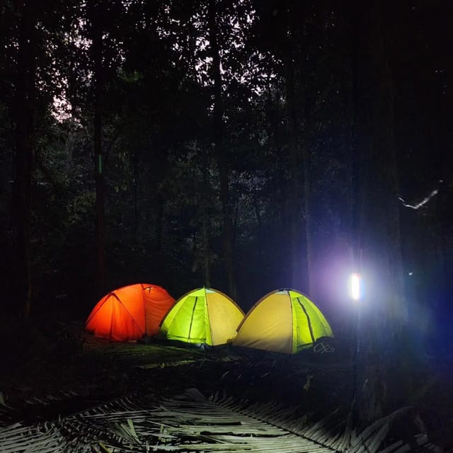 Cuc Phuong National Park: Trek & Camp in Jungle 2 Days - Experience Nature Up Close