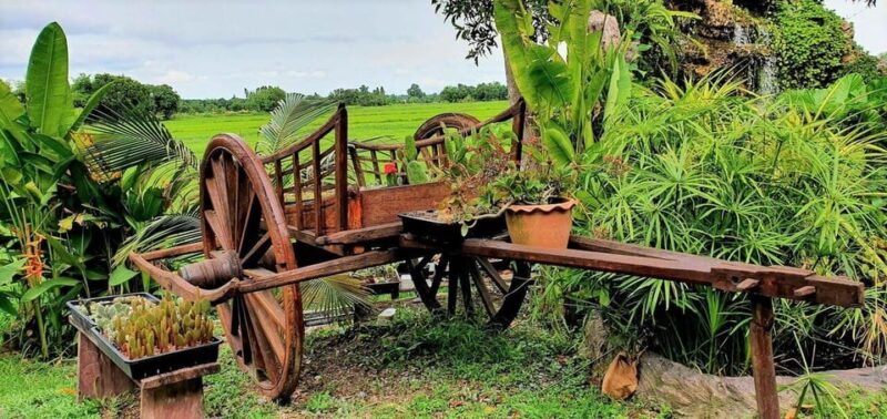 Cultural Immersion: Thai Cooking, Rice Farming, Eco Printing - Itinerary and Activities