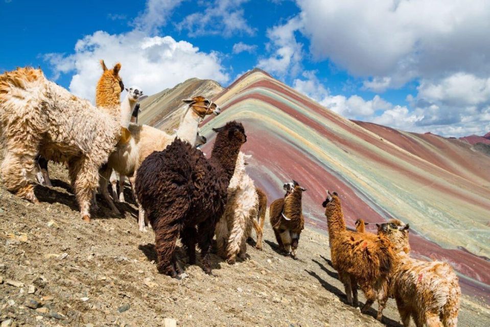 Cusco: Excursion to Rainbow Mountain | Full Day | - Detailed Itinerary