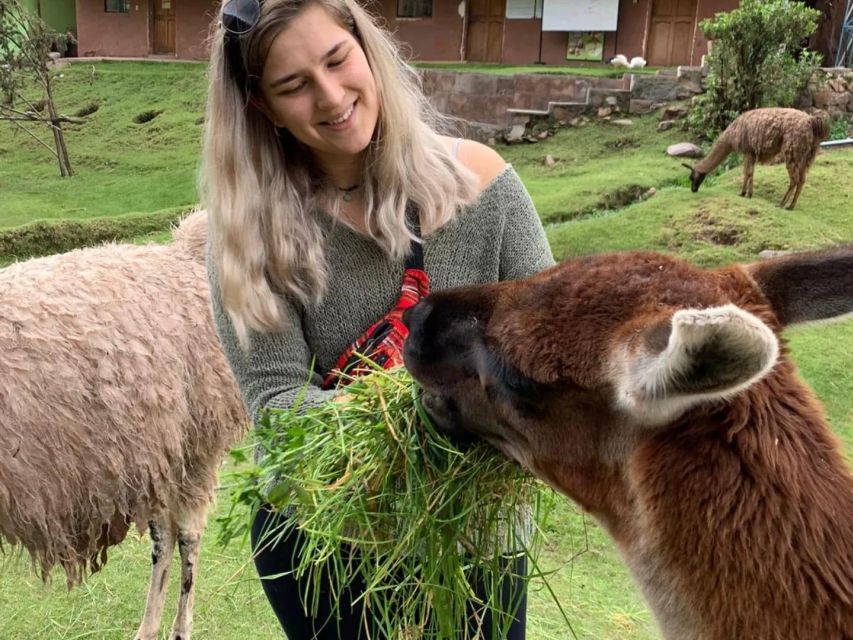 Cusco: Sanctuary of Animals Rescued Cochahuasi - Booking Information