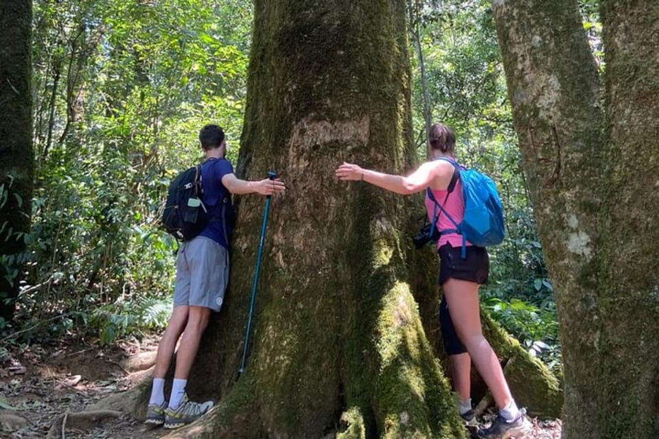 Da Lat: Trekking on Langbiang Mountain - Detailed Itinerary