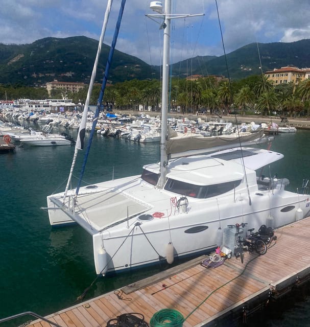 Daily Catamaran Excursion in the Gulf of La Spezia - Experience Highlights