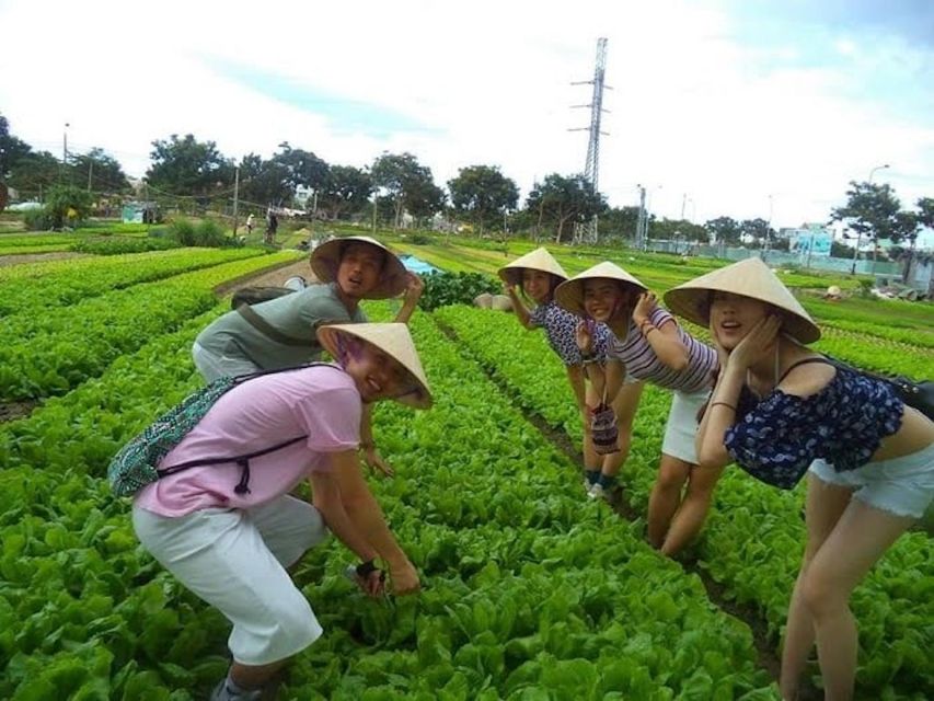 Daily TOUR HOI an COUNTRYSIDE BIKE TOUR With One Meal - Itinerary and Activities