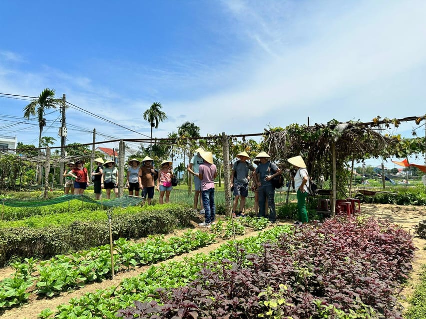 Danang/Hoi An: Vegetable Farming, Basket Boat, Cooking Class - Itinerary Highlights