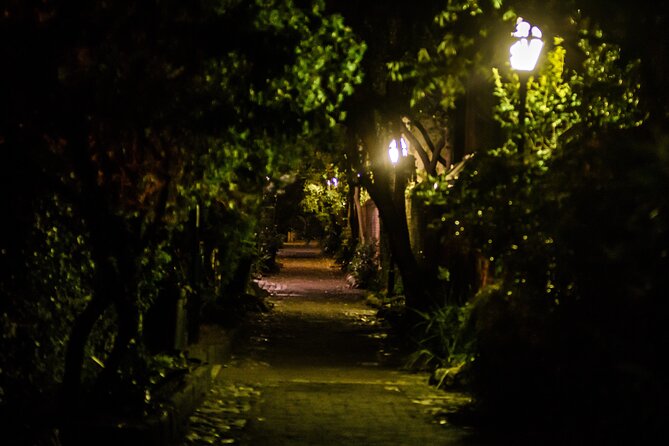 Dark Side of Charleston Guided Night-Time Walking Tour - Themes of Historical Debauchery