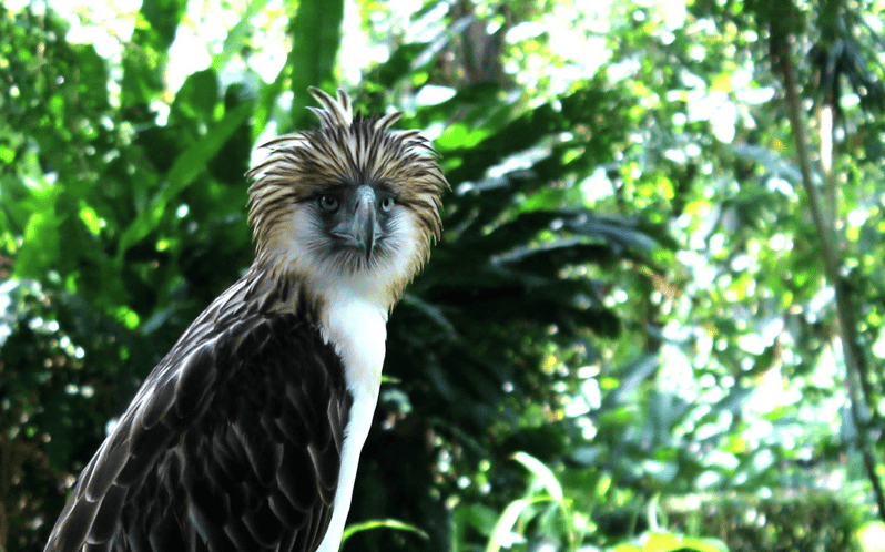 Davao Country Side Tour (Private Tour) - Malagos Garden and Shrine