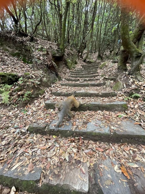 Day Hike in Kathmandu - Hiking Experience