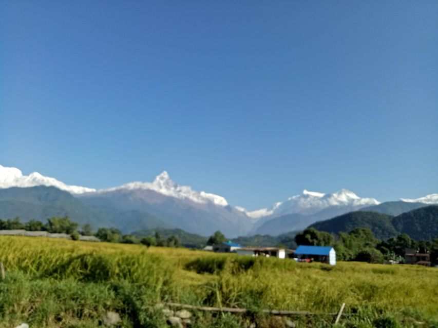 Day Hiking Dhampus Australian Camp From Pokhara - Detailed Itinerary