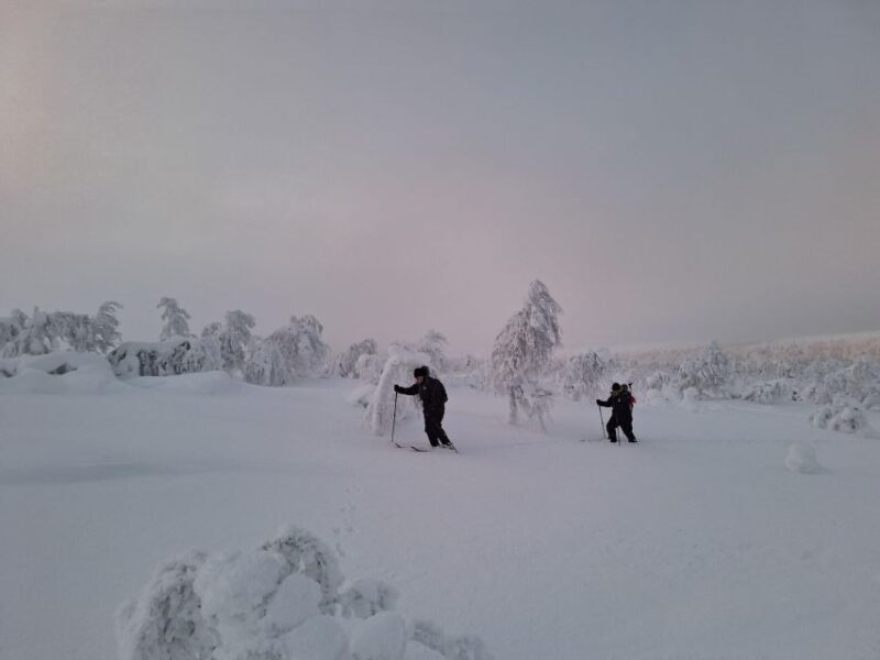 Day in the Tundra - Winter Trek & Smoke Sauna - Tundra Trek Highlights