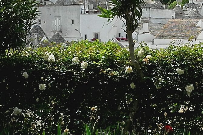 Day Tour of Ostuni, Martina Franca, Alberobello From Bari - Alberobello Exploration