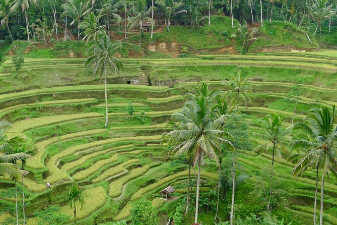 Day Tour With Sunrise and Waterfall - Exploring Kehen Temple