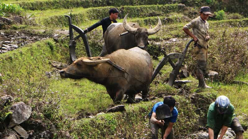 Day Trek Adventure With Local Guides - Experience and Itinerary