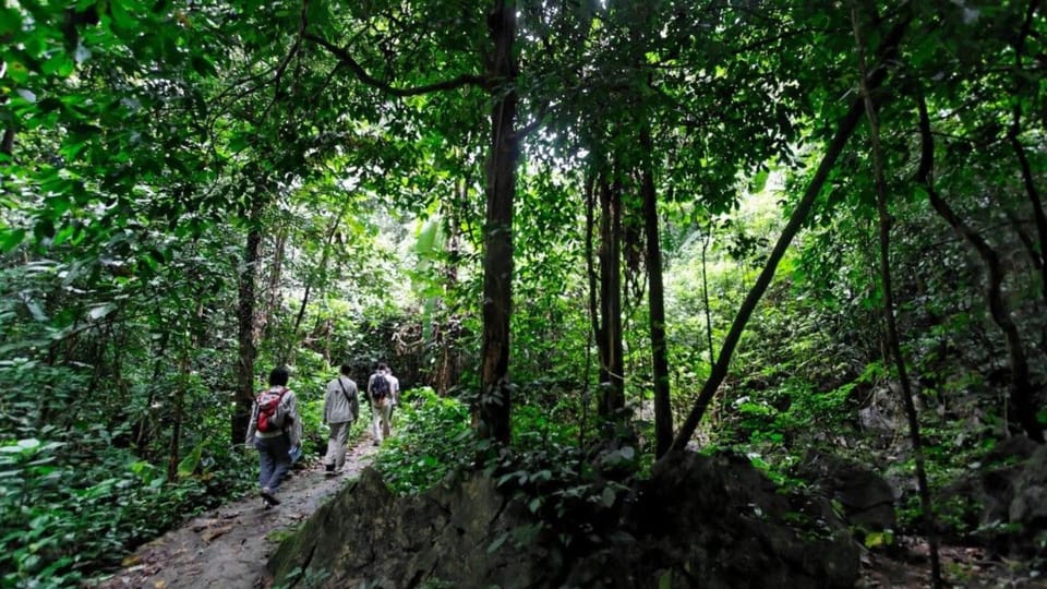 Day Trip for a Group to Cuc Phuong National Park - Itinerary Highlights