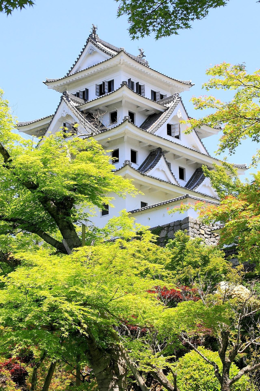 Day Trip From Nagoya（Gujo Hachiman ,Takayama & Shirakawago） - Transportation and Pickup Details