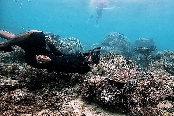 Day Trip Secret Island West Of Lombok - Gili Rengit Features