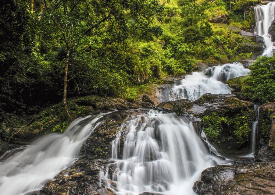 Day Trip to Tala Kaveri (Guided Tour by a Car From Coorg) - Transportation Details