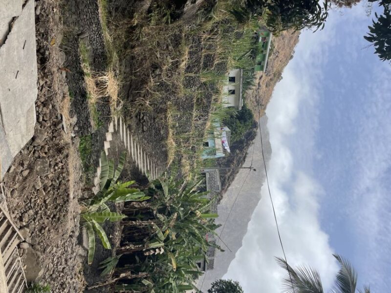 Day Trip: Trek Santo Antão, Cova Crater > Cabo Da Ribeira 5k - Itinerary Details