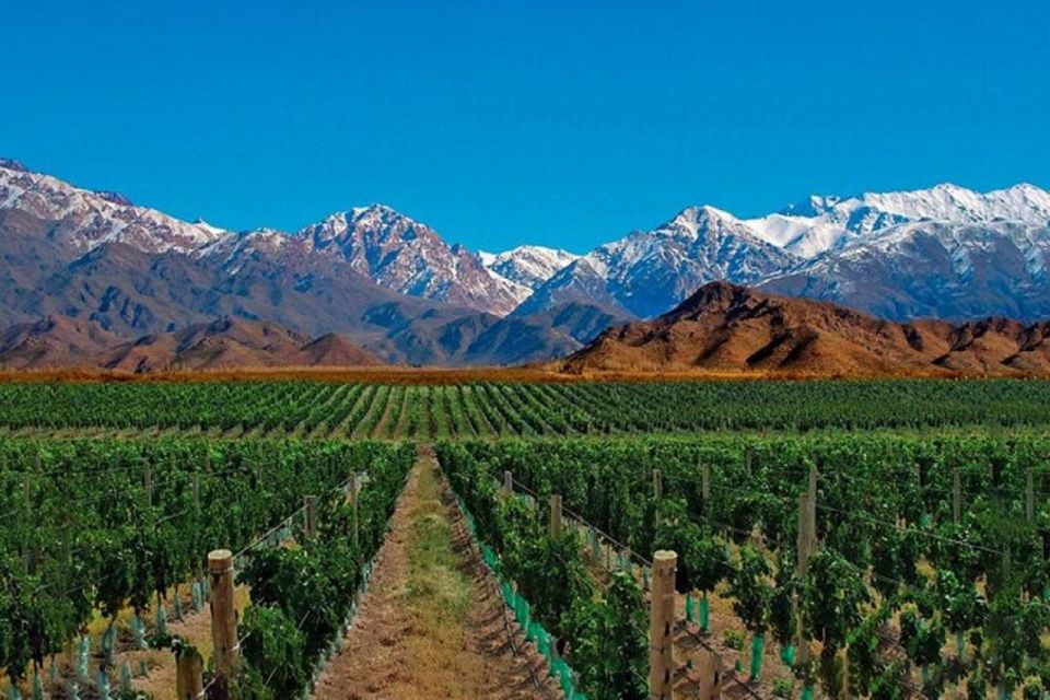 Daytour to Mendoza Wineries - Inclusions and Amenities