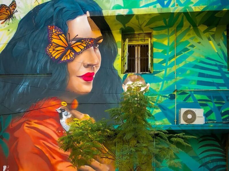 Delhi: Explore Delhis Street Art & Visit to an Art Centre - Highlights of the Experience