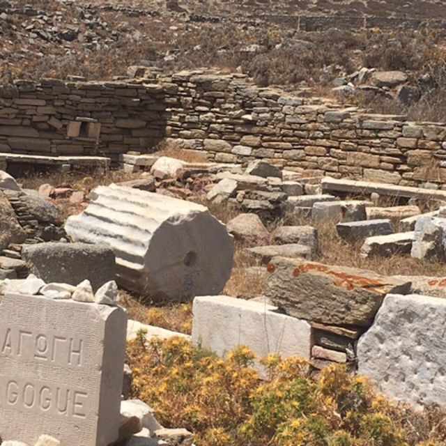 Delos Synagogue: Jewish Heritage Private Tour From Mykonos - Itinerary Details