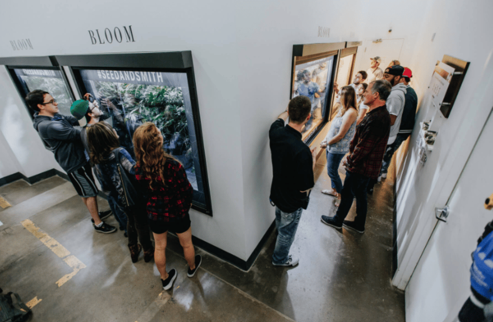 Denver: Buds & Brews Cannabis Grow Tour and Brewery Visit - Exploring the Grow Facility