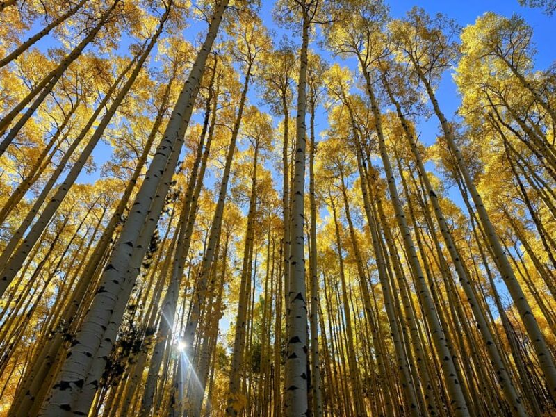 Denver: Guided Hiking Tour & Local Bakery - Experience Highlights