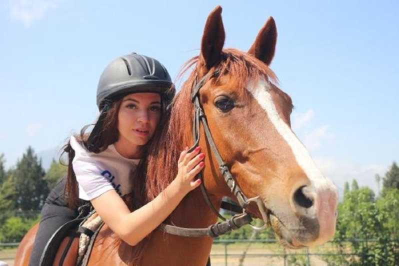 Didim Horse Safari - Experience Highlights